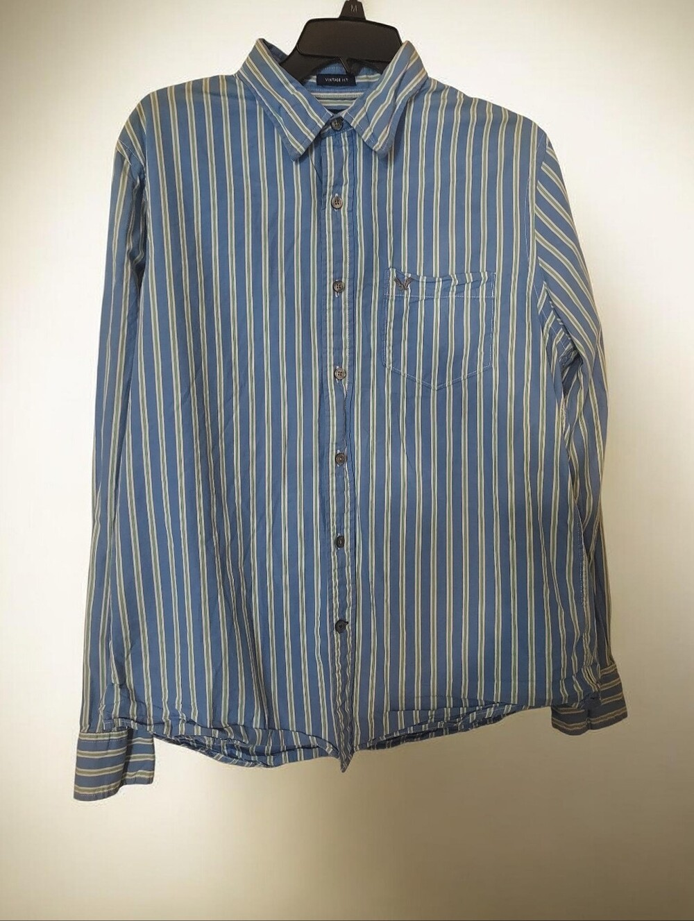 American Eagle Outfitters Men Large Casual Blue Vertical-Strip Button-Down Shirt